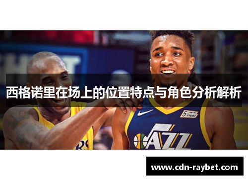 西格诺里在场上的位置特点与角色分析解析