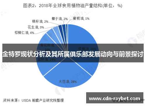 金特罗现状分析及其所属俱乐部发展动向与前景探讨 金特罗现状分析及其所属俱乐部发展动向与前景探讨