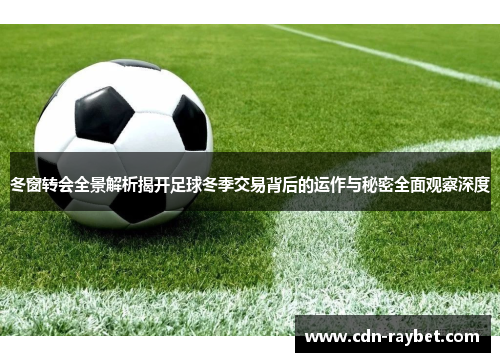 冬窗转会全景解析揭开足球冬季交易背后的运作与秘密全面观察深度