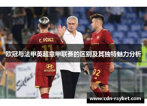 欧冠与法甲英超意甲联赛的区别及其独特魅力分析