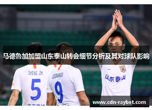 马德鲁加加盟山东泰山转会细节分析及其对球队影响 马德鲁加加盟山东泰山转会细节分析及其对球队影响