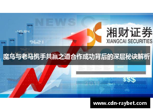魔鸟与老马携手共赢之道合作成功背后的深层秘诀解析 魔鸟与老马携手共赢之道合作成功背后的深层秘诀解析