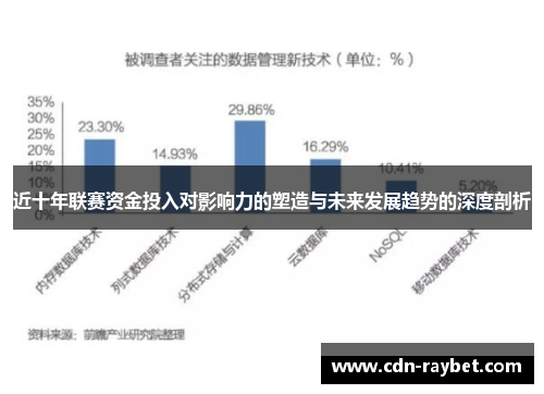 近十年联赛资金投入对影响力的塑造与未来发展趋势的深度剖析