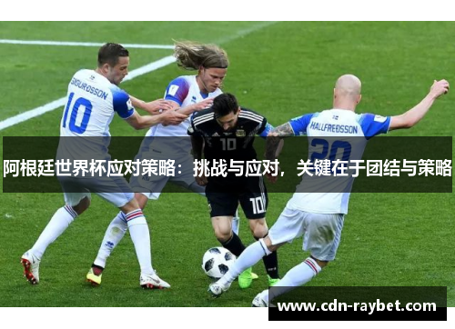 阿根廷世界杯应对策略：挑战与应对，关键在于团结与策略
